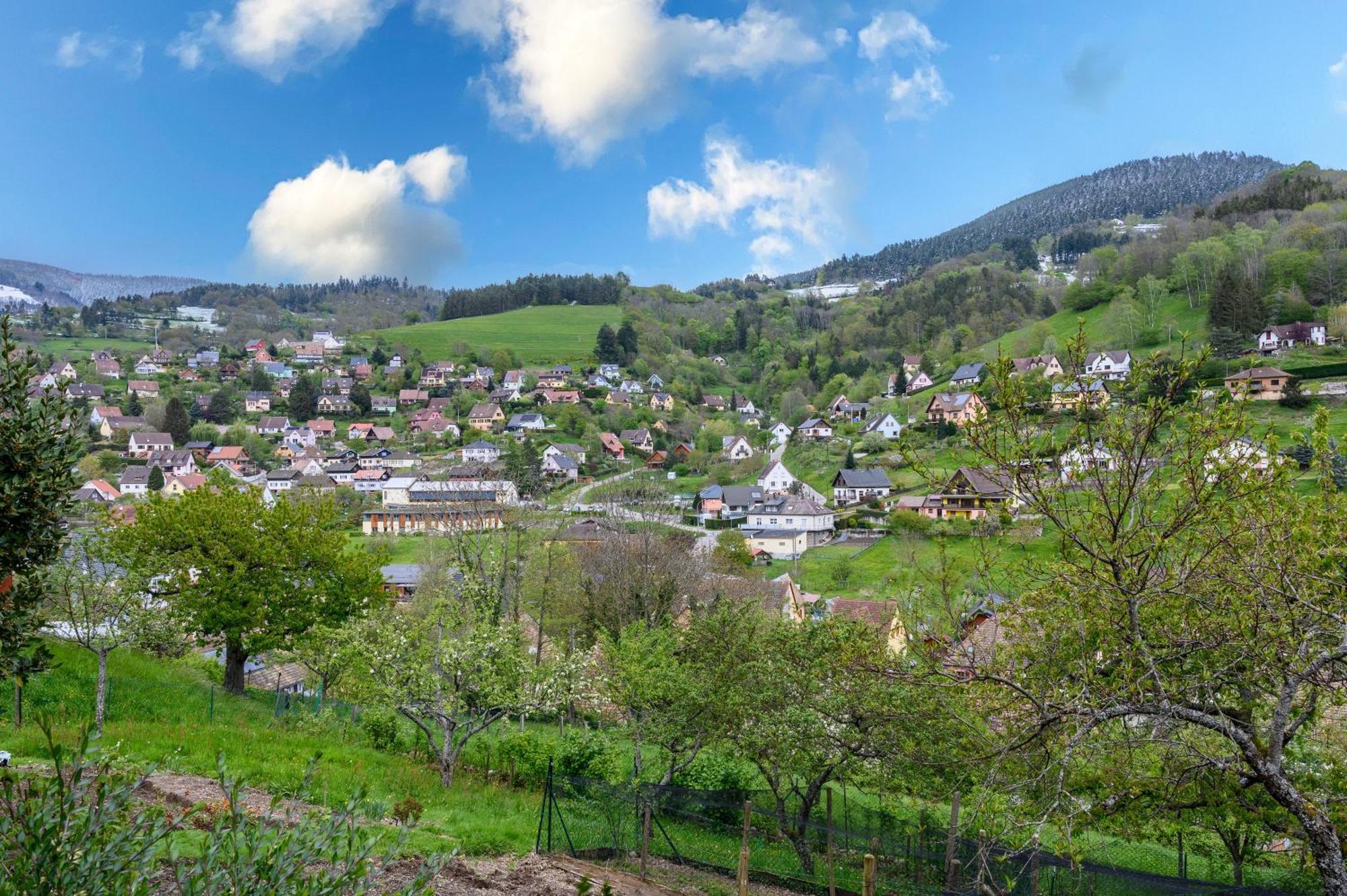 Gite En Montagne Vosges Alsaciennes Fréland Buitenkant foto